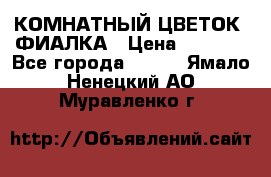 КОМНАТНЫЙ ЦВЕТОК -ФИАЛКА › Цена ­ 1 500 - Все города  »    . Ямало-Ненецкий АО,Муравленко г.